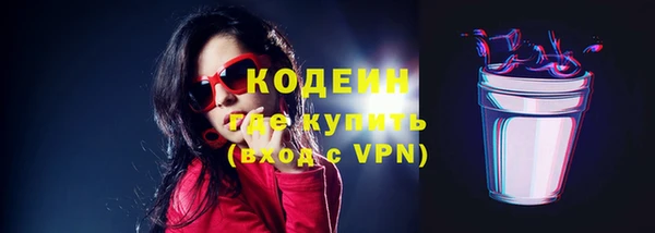 индика Беломорск