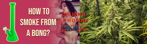 прущий лед Бородино